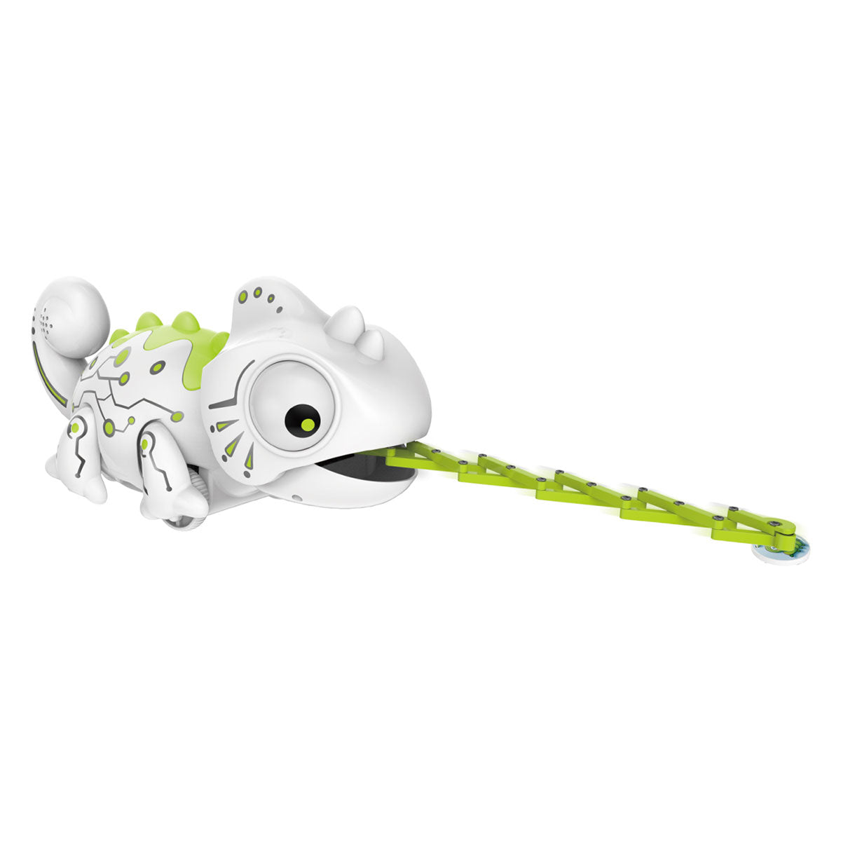 Gecko zum Mitnehmen