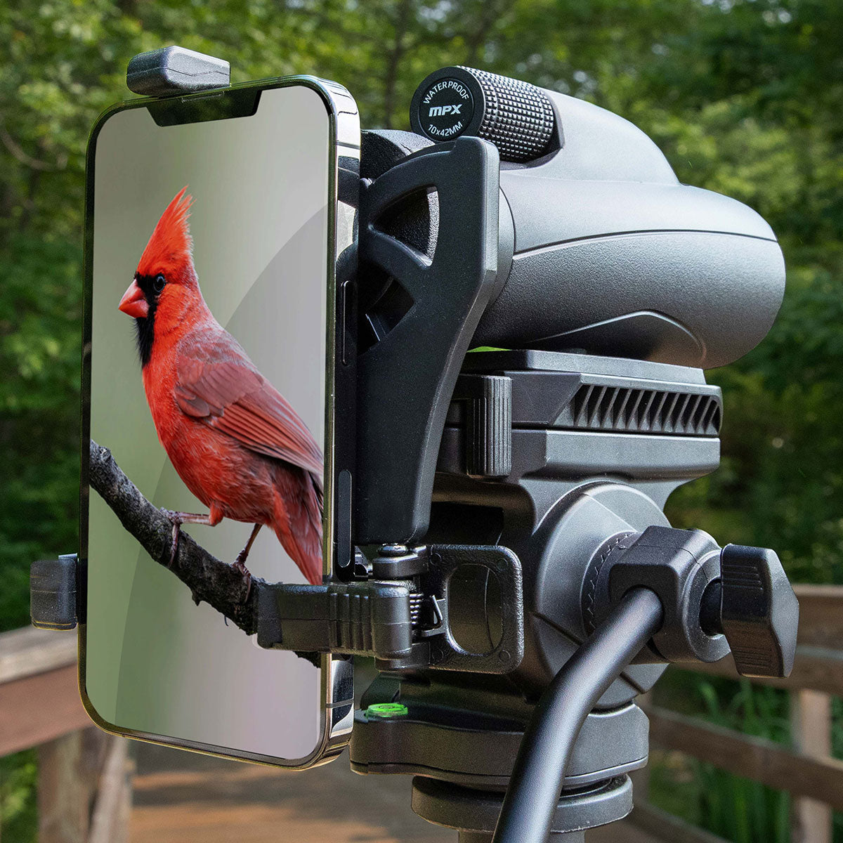 Monokular mit Smartphone-Adapter