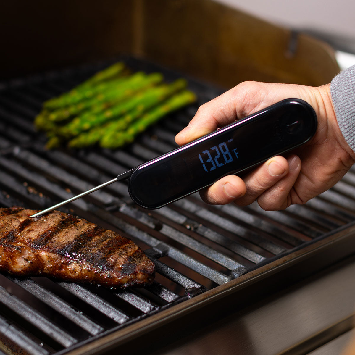 Escali Stelo Wasserdichtes Klappthermometer