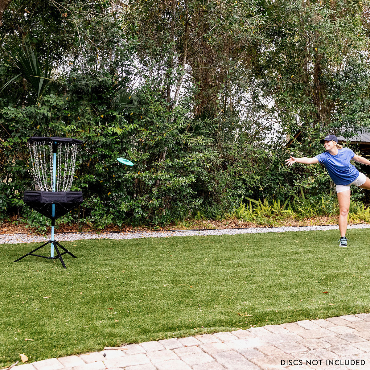 Canasta de disc golf