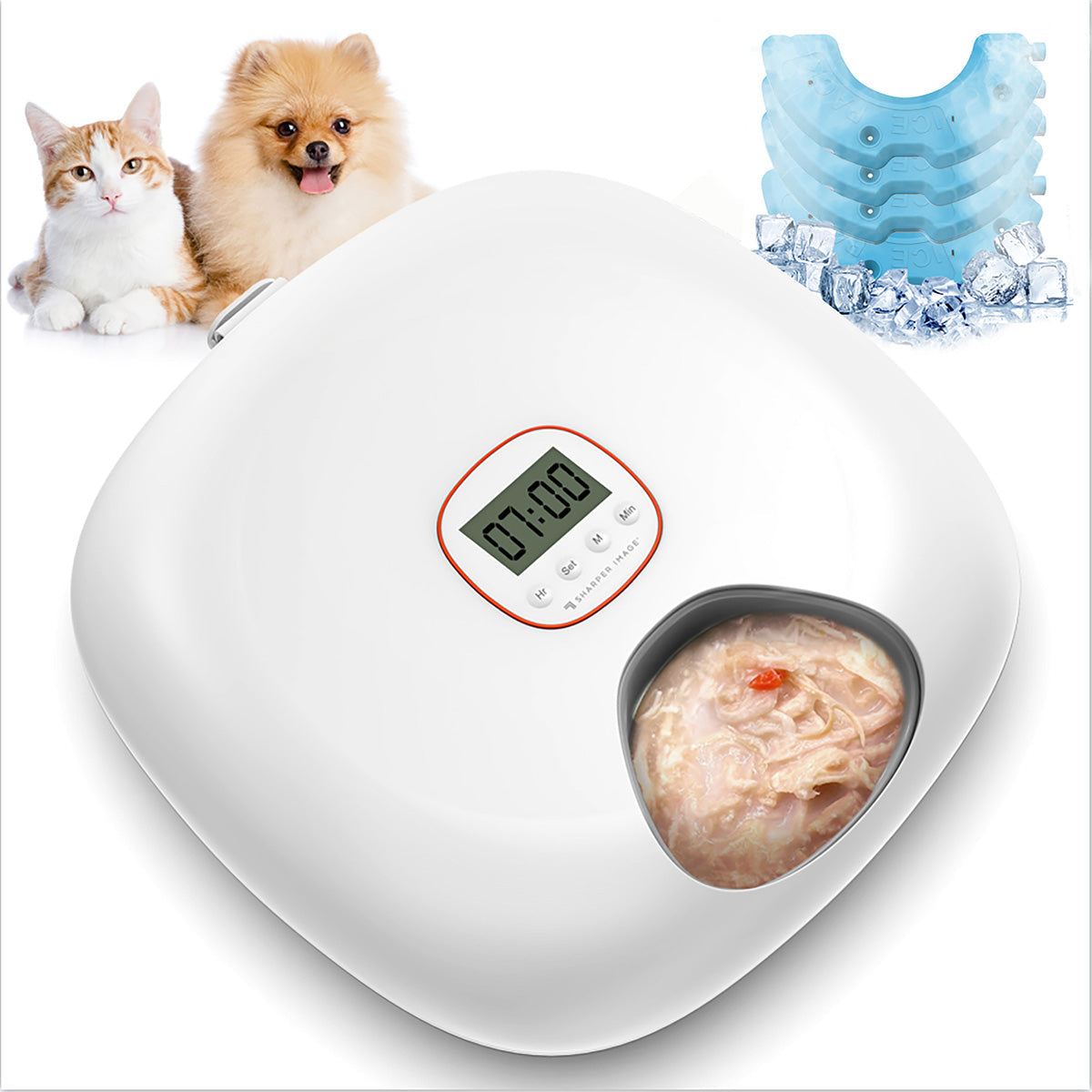 6-Meal Automatic Pet Feeder