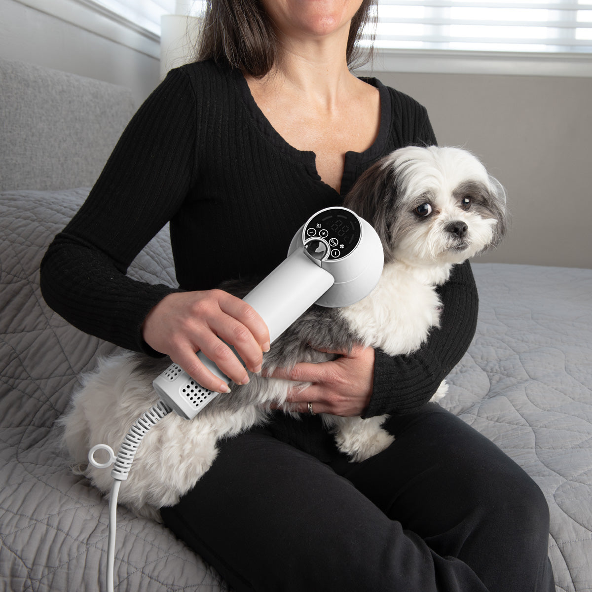 2-in-1 Pet Comb and Blow Dryer