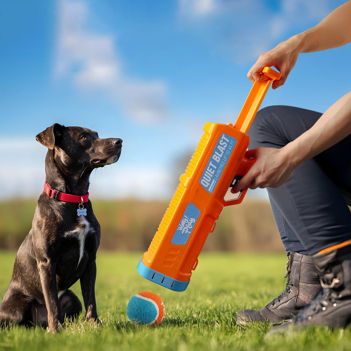 Lanzador de pelotas de tenis para perros