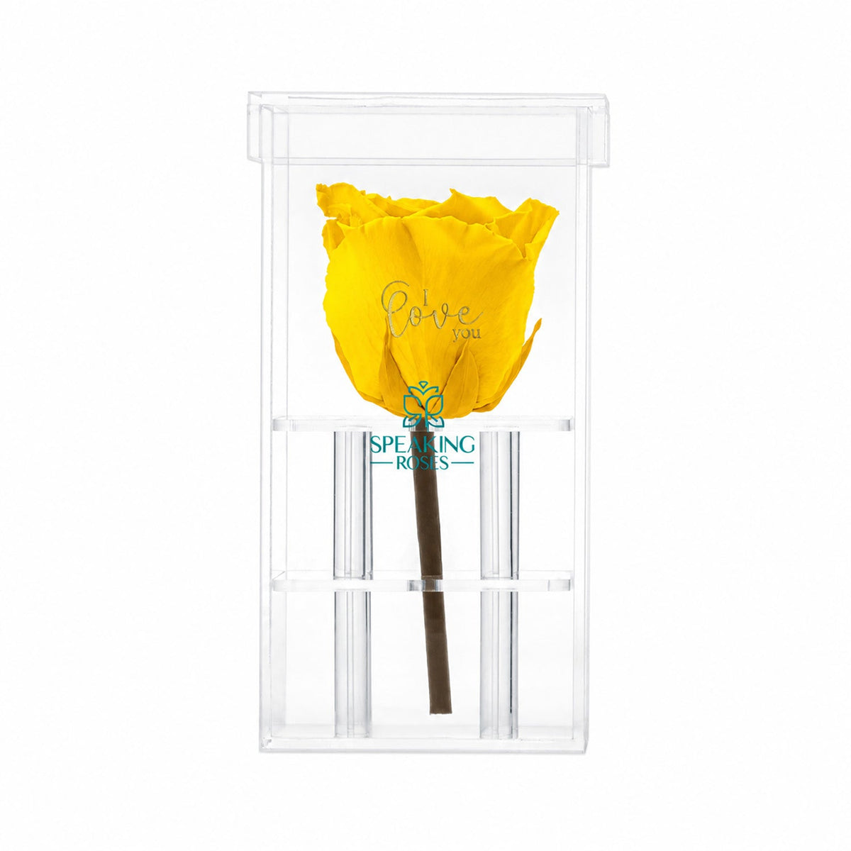 Rosa preservada de tallo único
