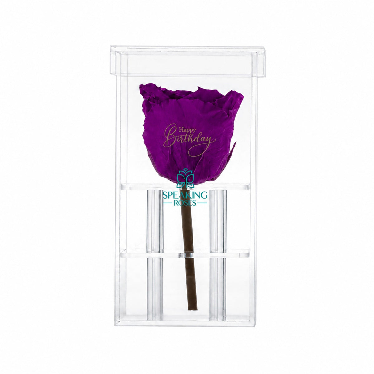 Rosa preservada de tallo único