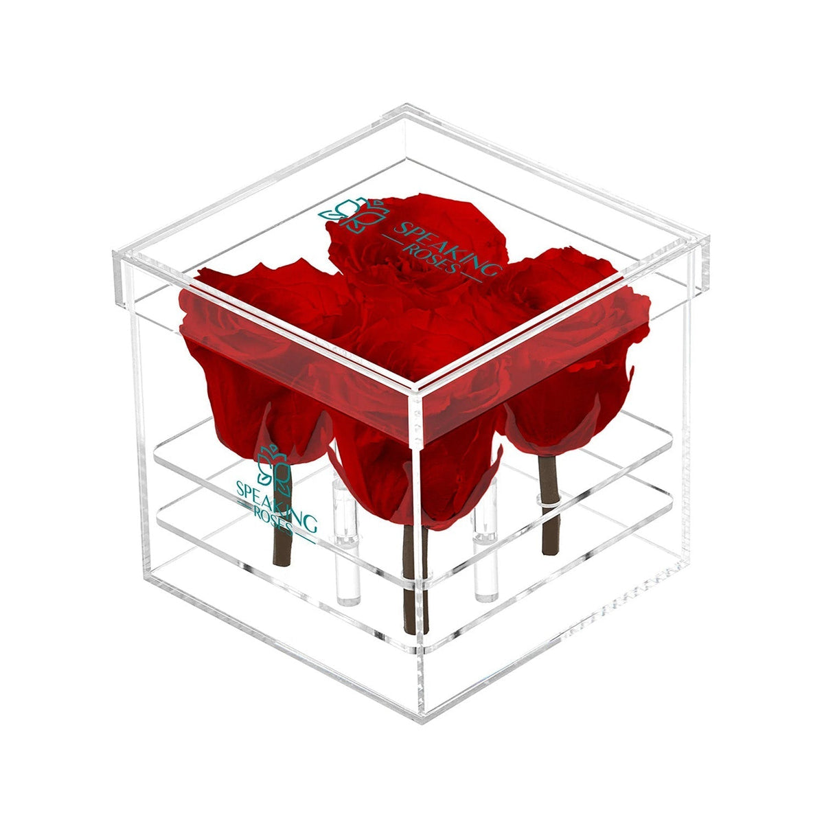 Konservierte Rosen (4 Stiele)