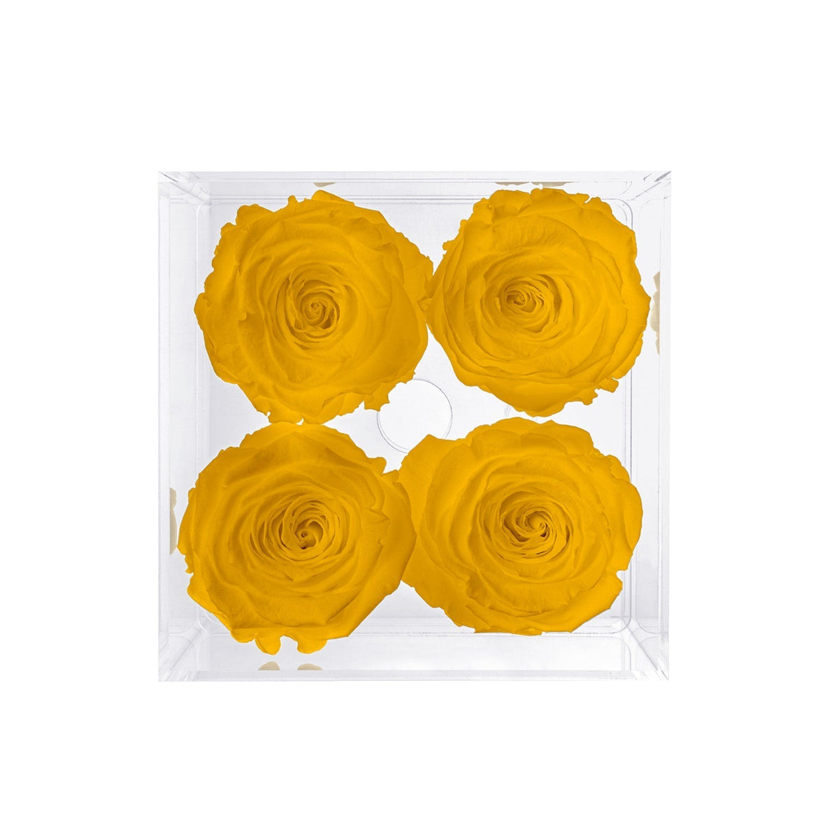 Konservierte Rosen (4 Stiele)