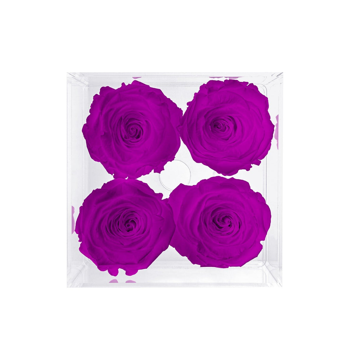 Konservierte Rosen (4 Stiele)