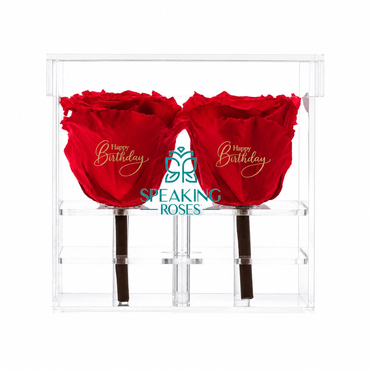 Konservierte Rosen (4 Stiele)
