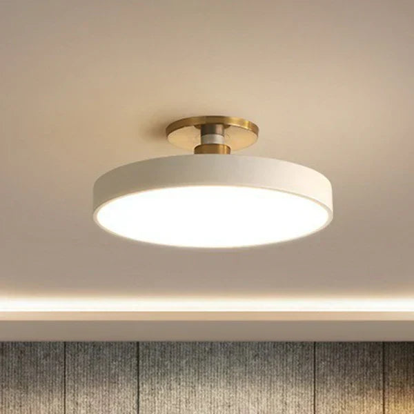 Round Acrylic Flush Mount Light 24 Inch Gold LED Bedroom Living Room Overhead Fixture Scandinavian Style Modern Home Ceiling Lighting | Thomler