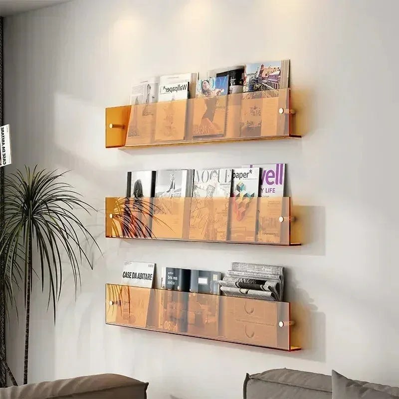 Vinyl Record Holder Wall Rack Magazine Organizer Shelf for Living Room Books Newspapers Home Office Storage Clear Acrylic Display Mount | Thomler
