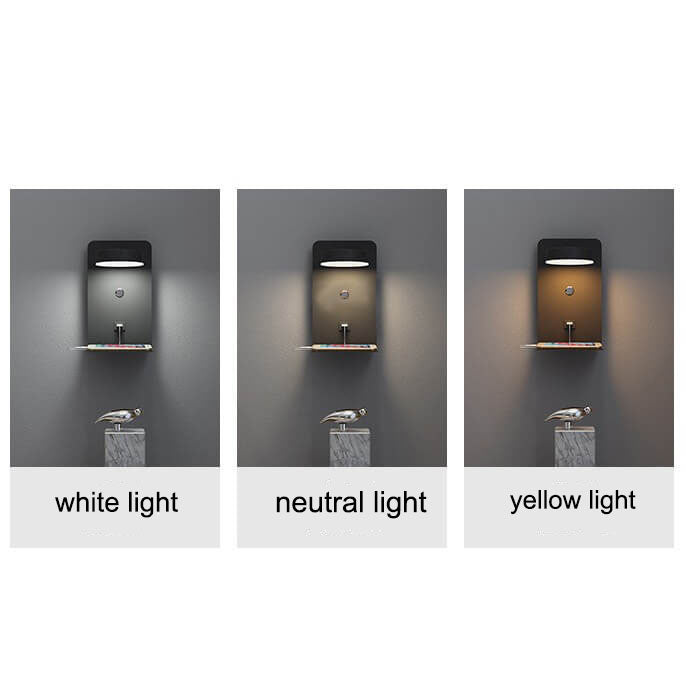 LED Wall Sconce 13 in Iron Acrylic Fixture Bedroom Bedside Hardwired Ambient Lighting Reading Task Lamp Hallway 12W 1200 Lumen Contemporary | Thomler
