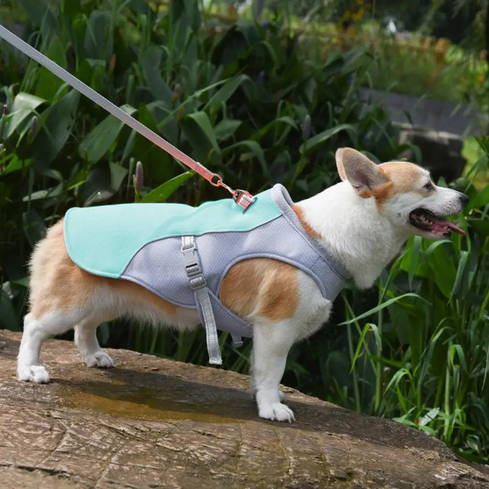 Koelvest voor honden voor buitenactiviteiten