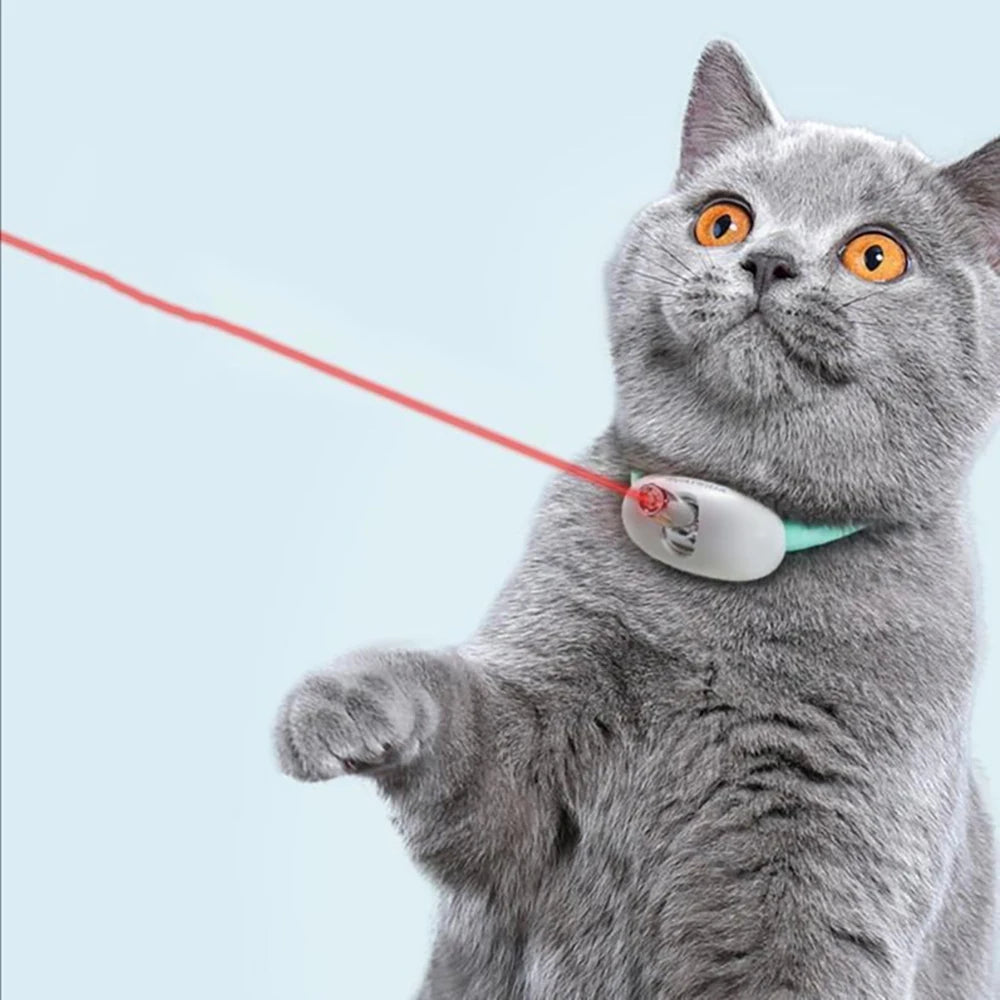 Interaktives Laser-Katzenhalsband mit USB-Ladefunktion