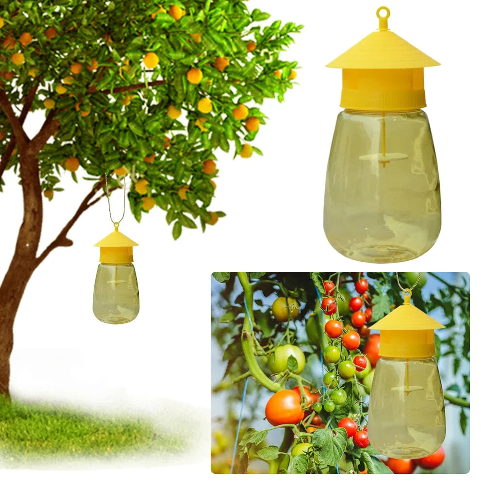 Hangende fruitvliegval
