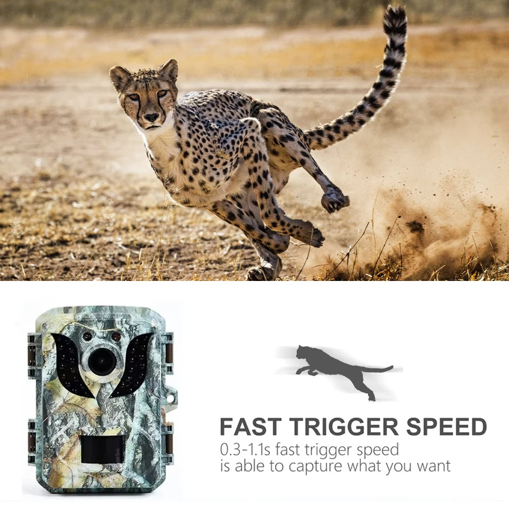 Kompakte Wildkamera mit HD-Infrarot-Nachtsicht