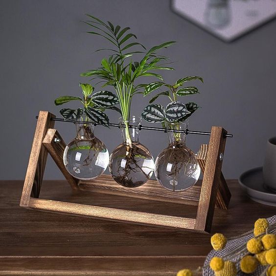 Houten hydrocultuur vaashouder met glazen buisjes voor het stekken van planten, tafeldecoratie voor kruiden, bloemen en vetplanten voor wortelontwikkeling | Thomler