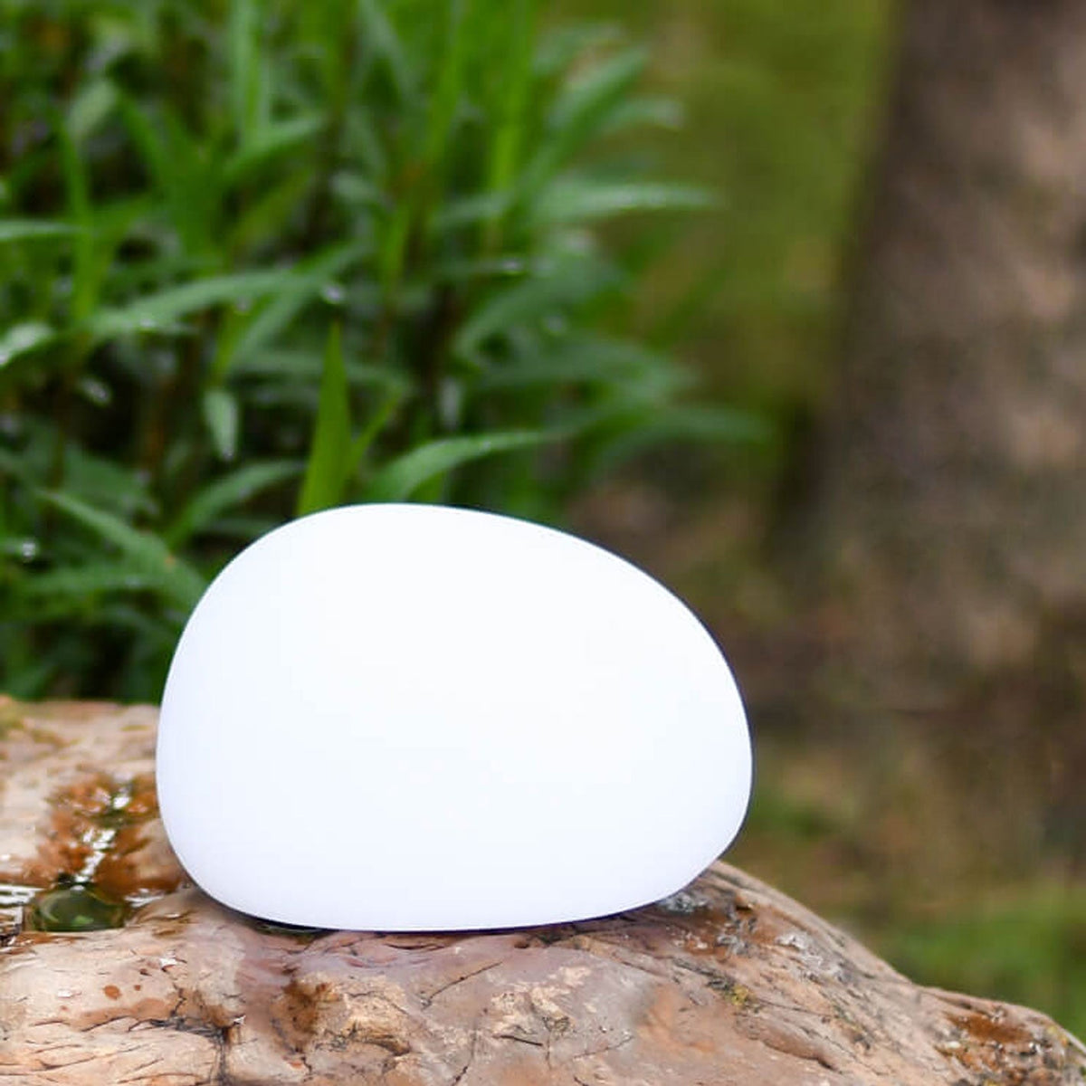 Aplique de pared LED de energía solar para patios, senderos y jardines: lámpara de exterior moderna resistente a la intemperie