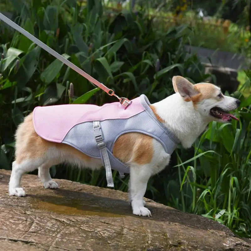 Koelvest voor honden voor buitenactiviteiten