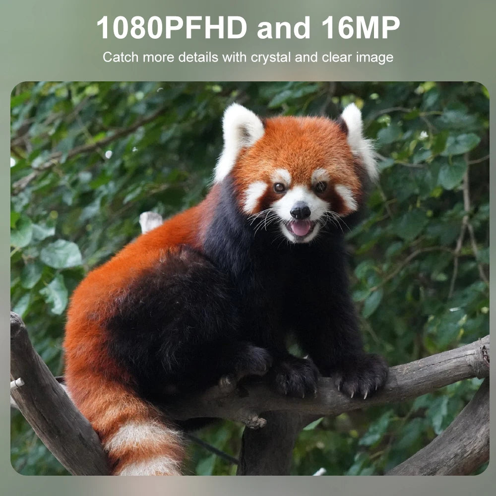 Kompakte Wildkamera mit HD-Infrarot-Nachtsicht