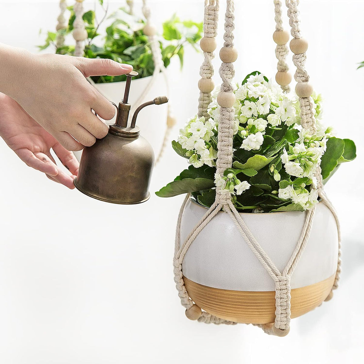 Macrame Hanging Planter in Cotton Cord