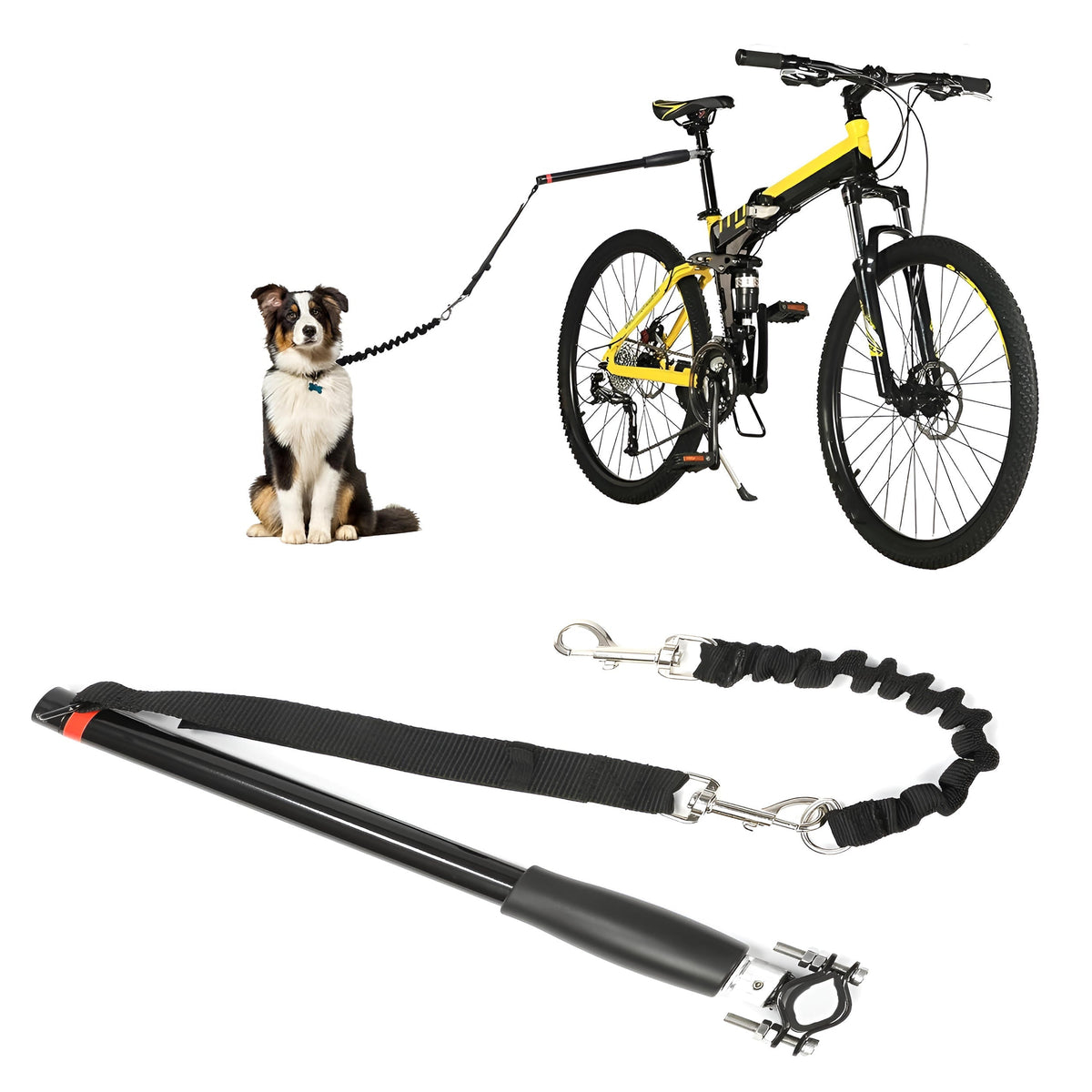 Bike Dog Tow Leash
