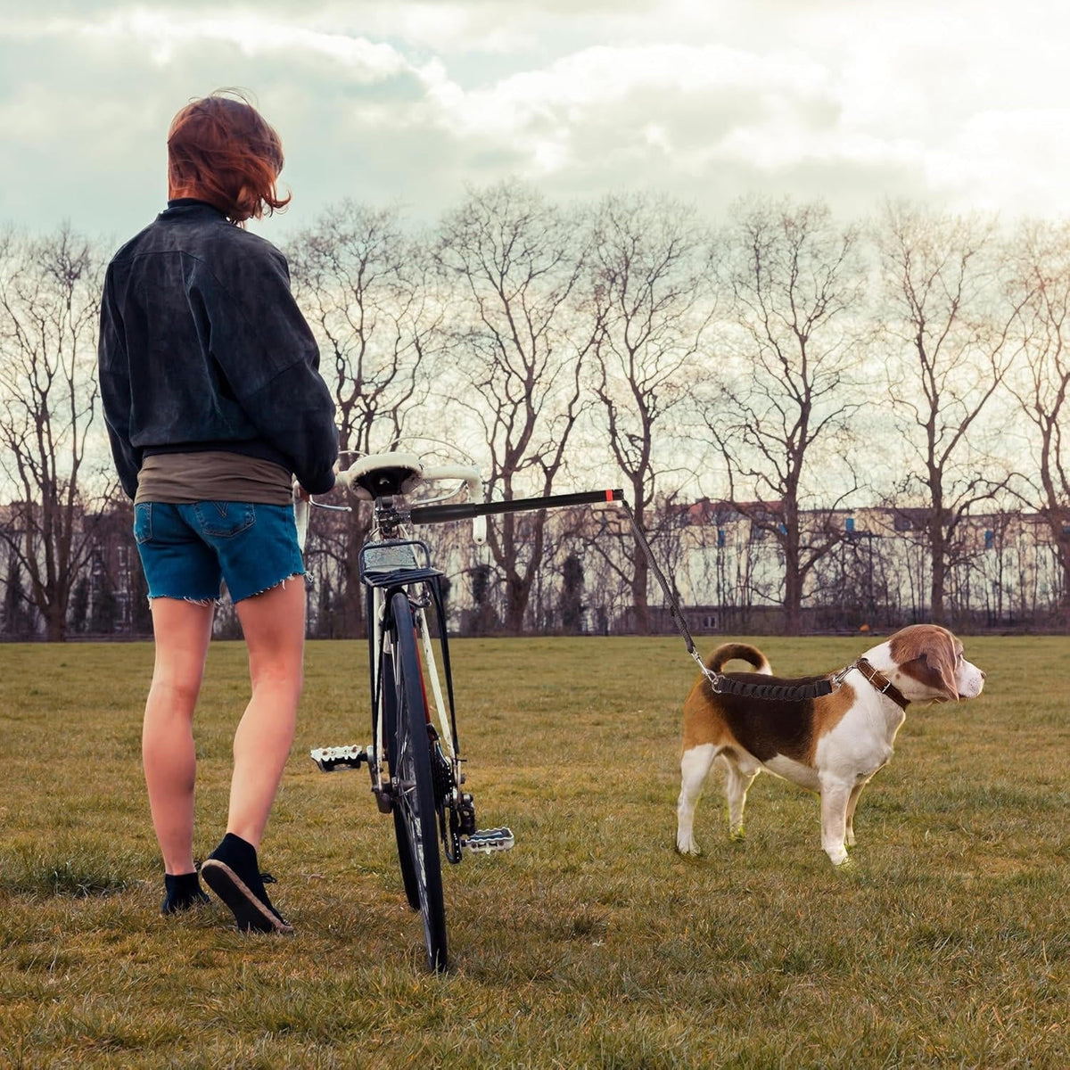Bike Dog Tow Leash