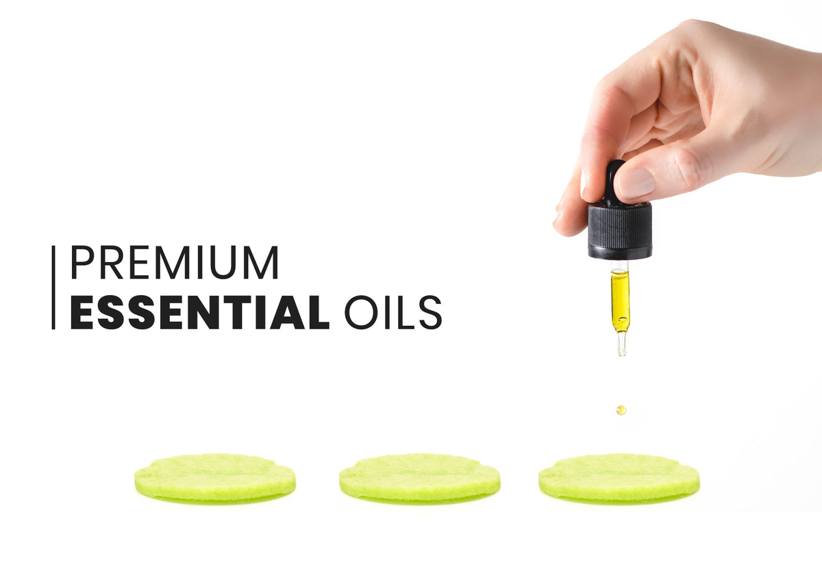 Aromatherapy Scent Dots Single Pack