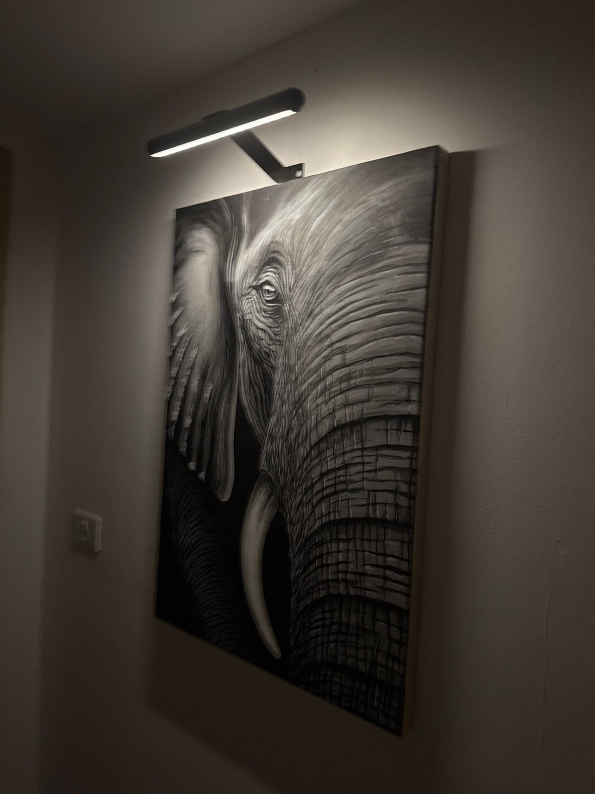 Adjustable Metal LED Wall Sconce Wireless USB Battery Operated Swivel Arm Lamp for Framed Art Paintings Photos Stepless Dimmer Indoor Accent | Thomler
