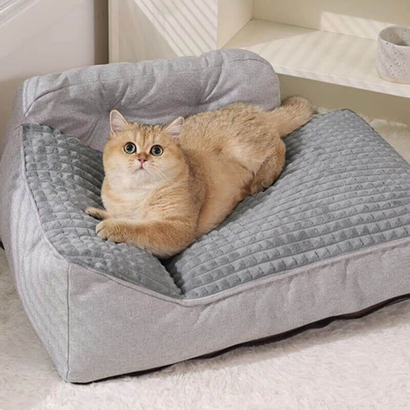 Orthopedisch honden- en kattenmand met opstaande rand – Wasbaar, antislip onderkant, comfort voor alle seizoenen