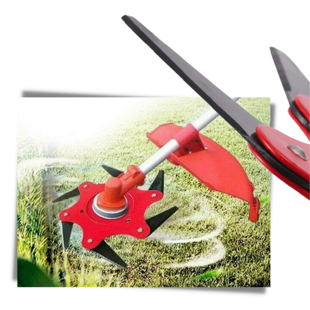 Trimmerkop