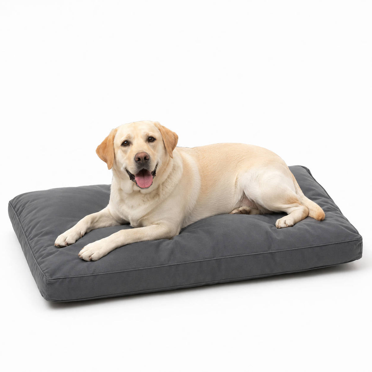 Cama para perro indestructible y duradera de 42 pulgadas para masticadores agresivos, tapete para jaula impermeable a prueba de mordeduras