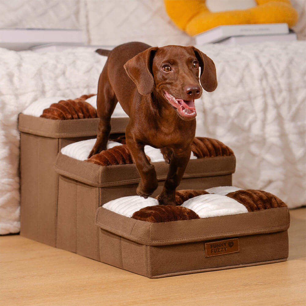 Pet Steps with Hidden Storage Compartments – Soft Padded Foldable Ramp for Small Dogs & Cats, Non-Slip Base