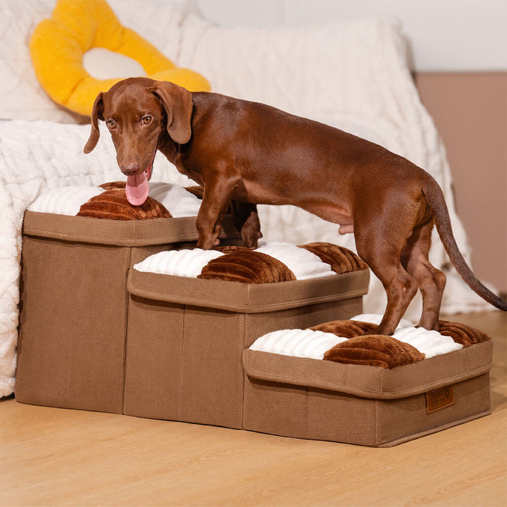 Escalones para mascotas con compartimentos de almacenamiento ocultos: rampa plegable acolchada y suave para perros y gatos pequeños, base antideslizante