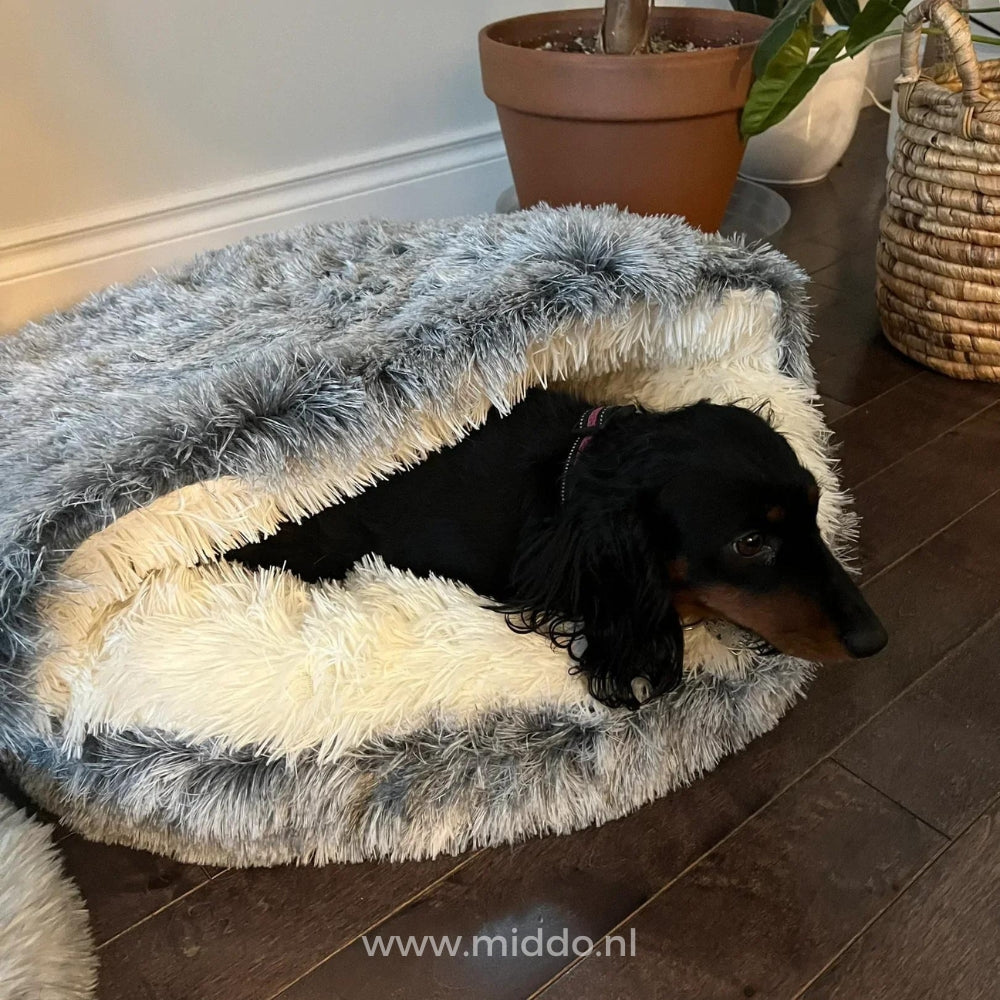Round Plush Pet Bed – Cozy Donut Cushion for Dogs & Cats in All Sizes