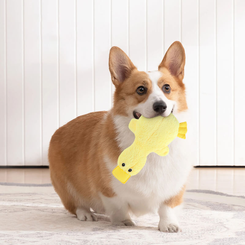 Piepend pluche eendenhondenspeeltje – Zacht kauwspeeltje voor kleine & grote honden, interactief huisdierenspeelgoed met geluid voor puppy's & volwassen honden