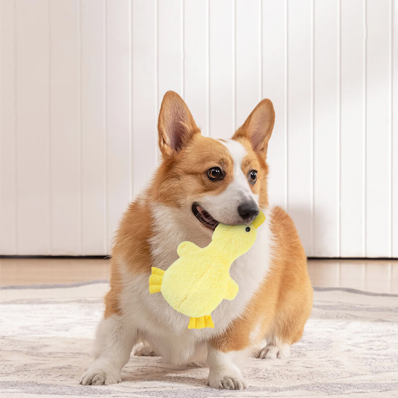 Piepend pluche eendenhondenspeeltje – Zacht kauwspeeltje voor kleine & grote honden, interactief huisdierenspeelgoed met geluid voor puppy's & volwassen honden