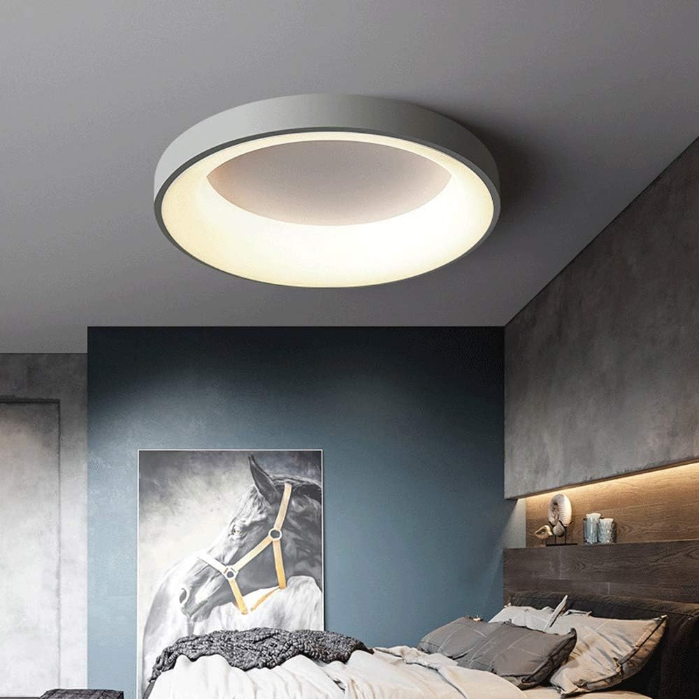 Round Flush Mount LED Fixture Iron Acrylic Low Profile for Bedroom Hallway Living Room Kitchen Dining Room Modern Minimalist Slim Design | Thomler