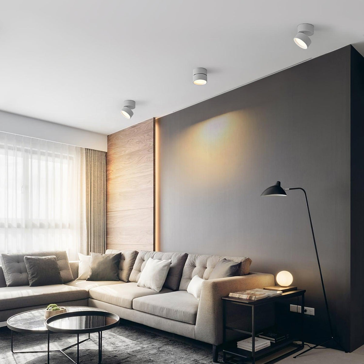 Adjustable Spotlight Ceiling Fixture 4 Inch Rotating LED Light for Artwork Living Room Gallery