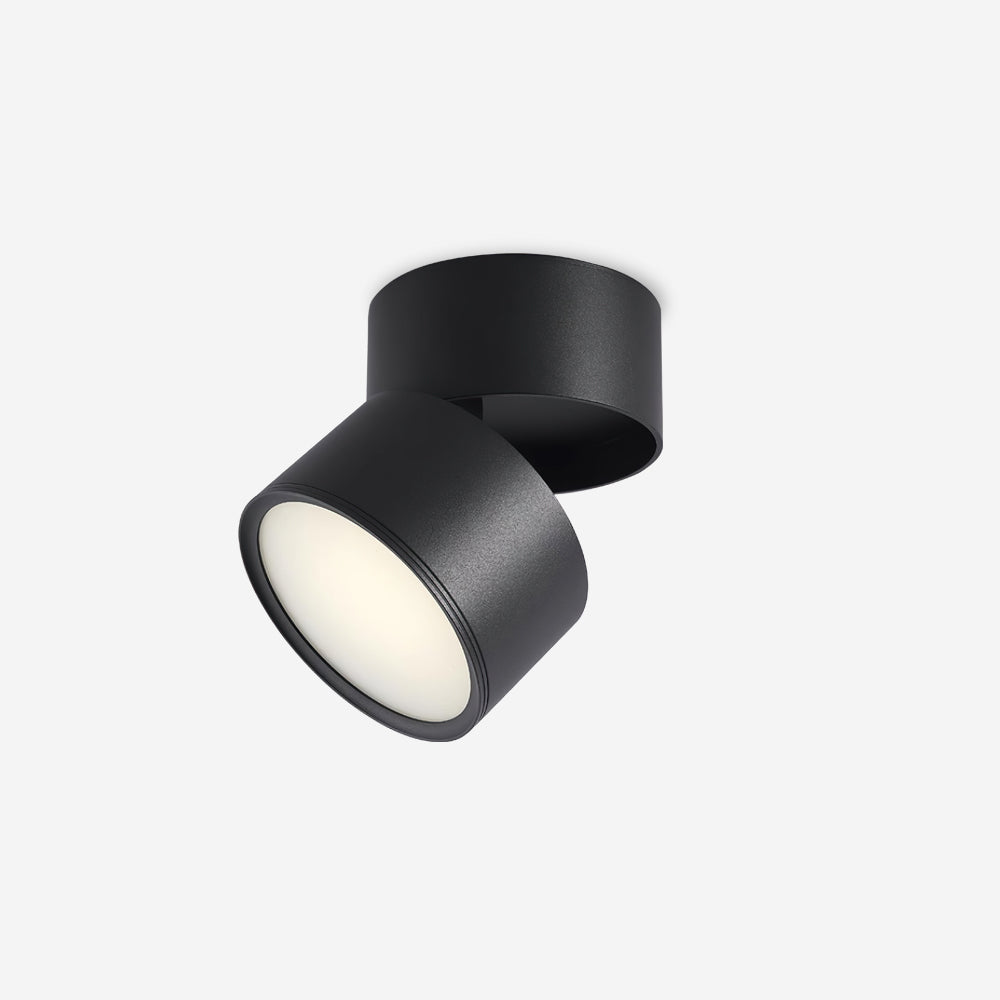 Adjustable Spotlight Ceiling Fixture 4 Inch Rotating LED Light for Artwork Living Room Gallery