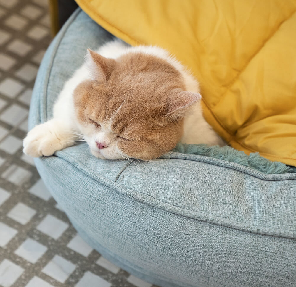 Botanische deken in bladvorm voor huisdieren - Zachte katoen-polyester hoes voor honden & katten - Machinewasbare bankbeschermer & vloermat