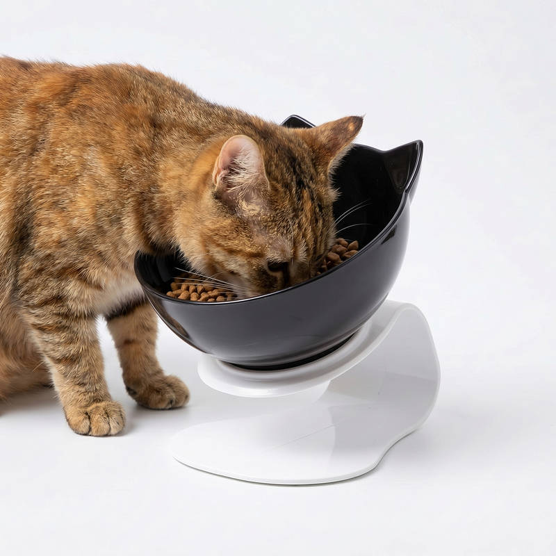 Anti-braak kattenbak verhoogd, orthopedische voerbak voor katten vermindert braken gezond eten