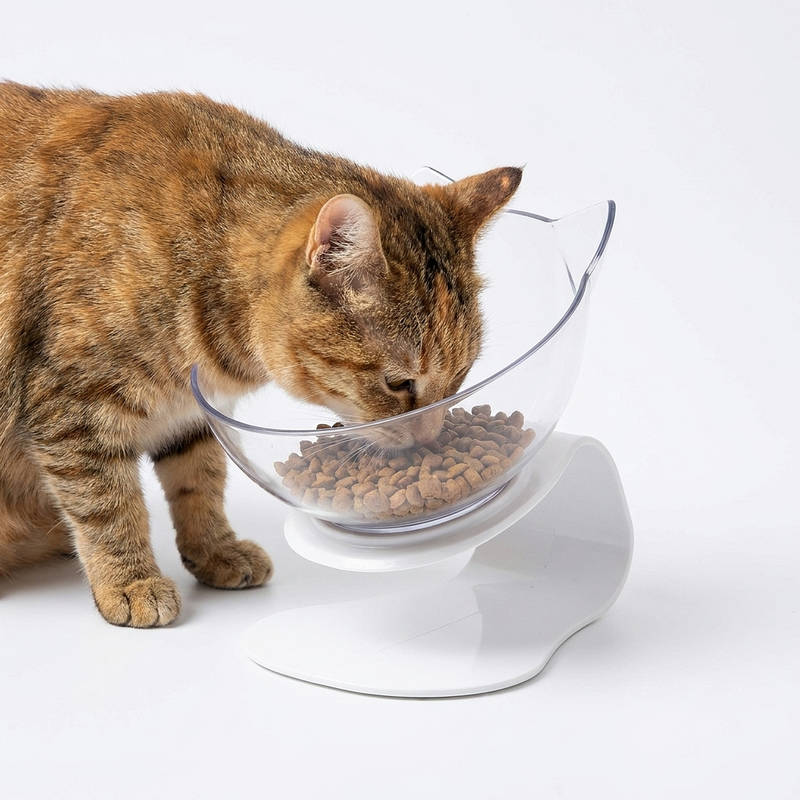 Anti-braak kattenbak verhoogd, orthopedische voerbak voor katten vermindert braken gezond eten