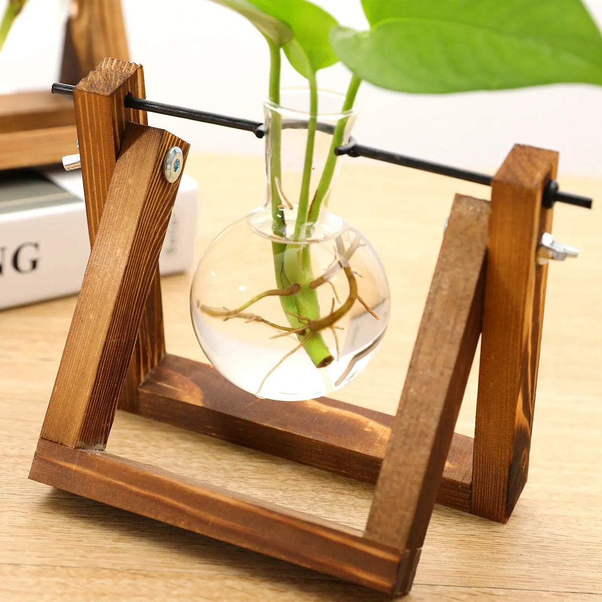 Wooden Hydroponic Vase Holder with Glass Tubes for Propagating Cuttings Tabletop Decor Station for Herbs Flowers Succulents Root Development | Thomler