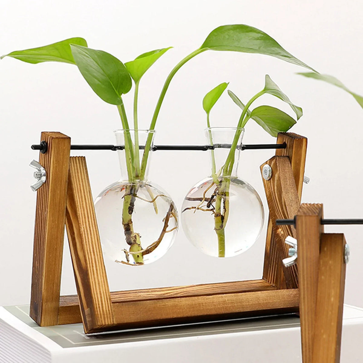 Wooden Hydroponic Vase Holder with Glass Tubes for Propagating Cuttings Tabletop Decor Station for Herbs Flowers Succulents Root Development | Thomler