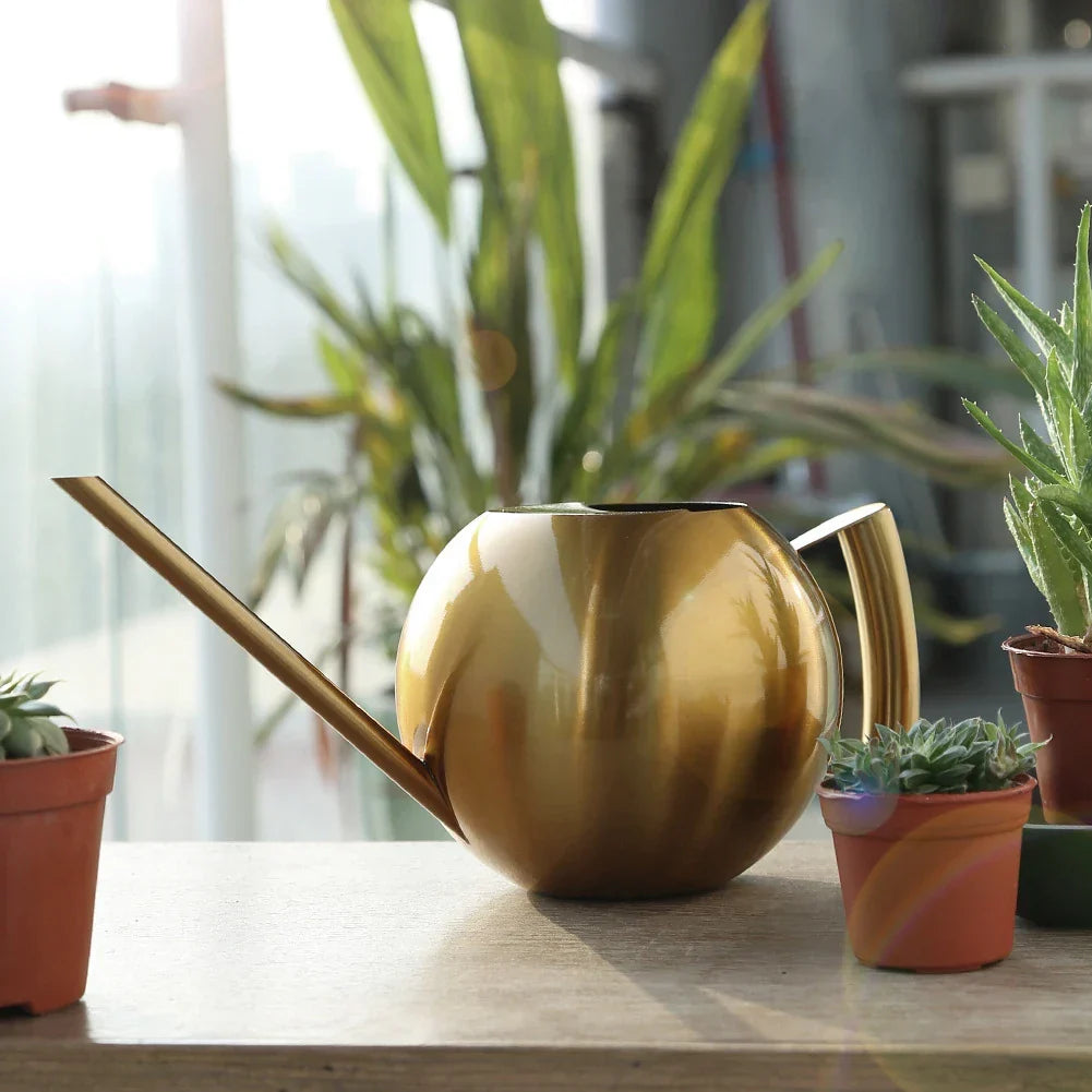 Metal Indoor Plant Watering Pitcher 11 in Diameter Long Spout Rust-Resistant Houseplant Tool Home Garden Container for Succulents Flowers | Thomler