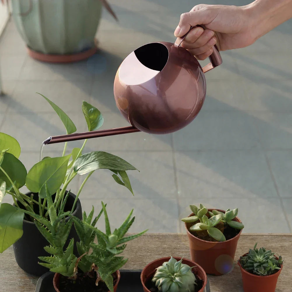 Metal Indoor Plant Watering Pitcher 11 in Diameter Long Spout Rust-Resistant Houseplant Tool Home Garden Container for Succulents Flowers | Thomler