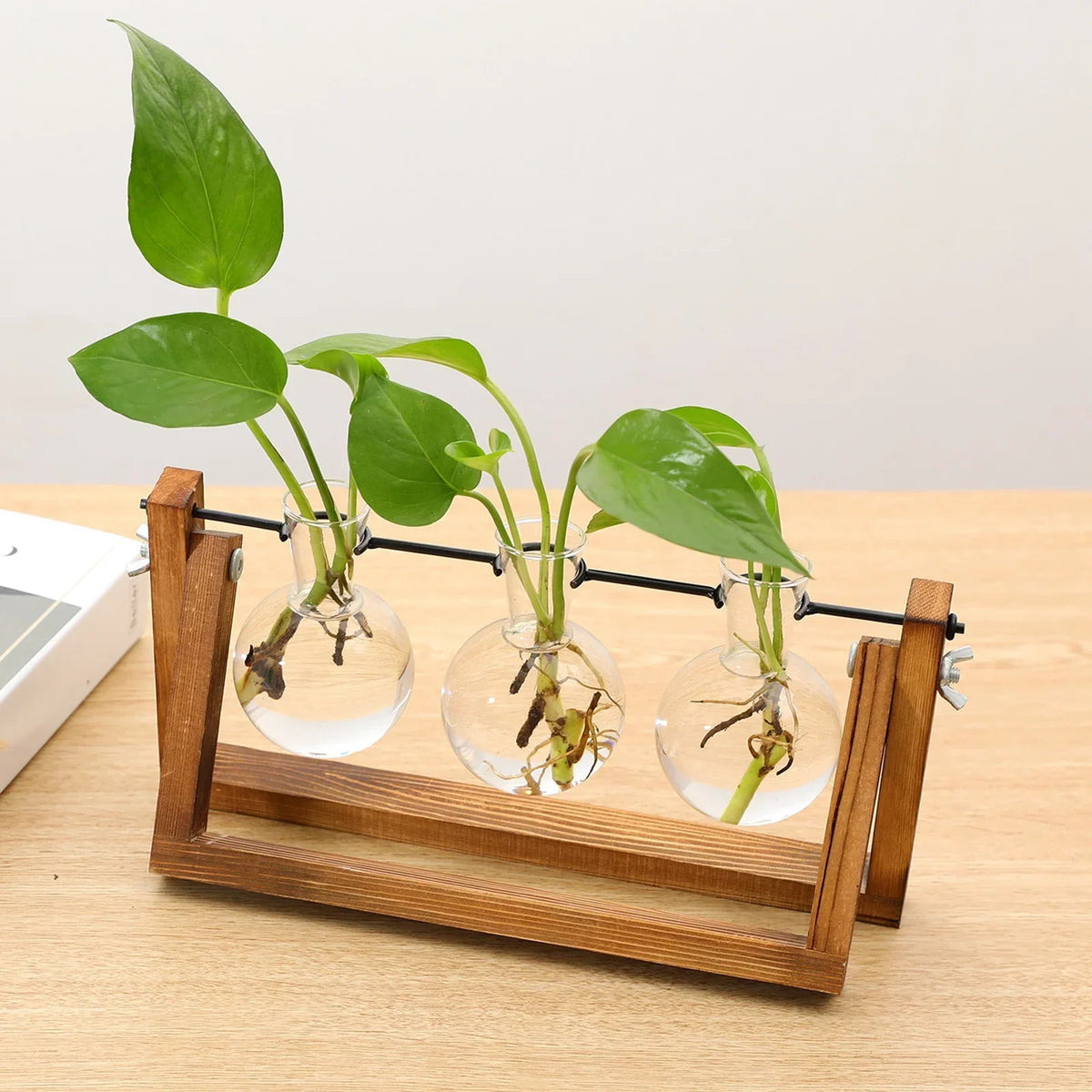 Houten glazen stekstation voor plantenstekjes en kamerplanten — Ontwerpen met enkelvoudige, dubbele & drievoudige houder | Thomler