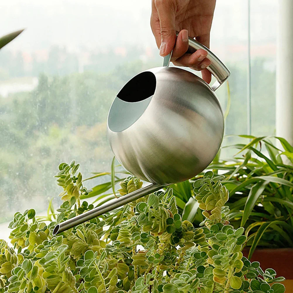 Metal Indoor Plant Watering Pitcher 11 in Diameter Long Spout Rust-Resistant Houseplant Tool Home Garden Container for Succulents Flowers | Thomler