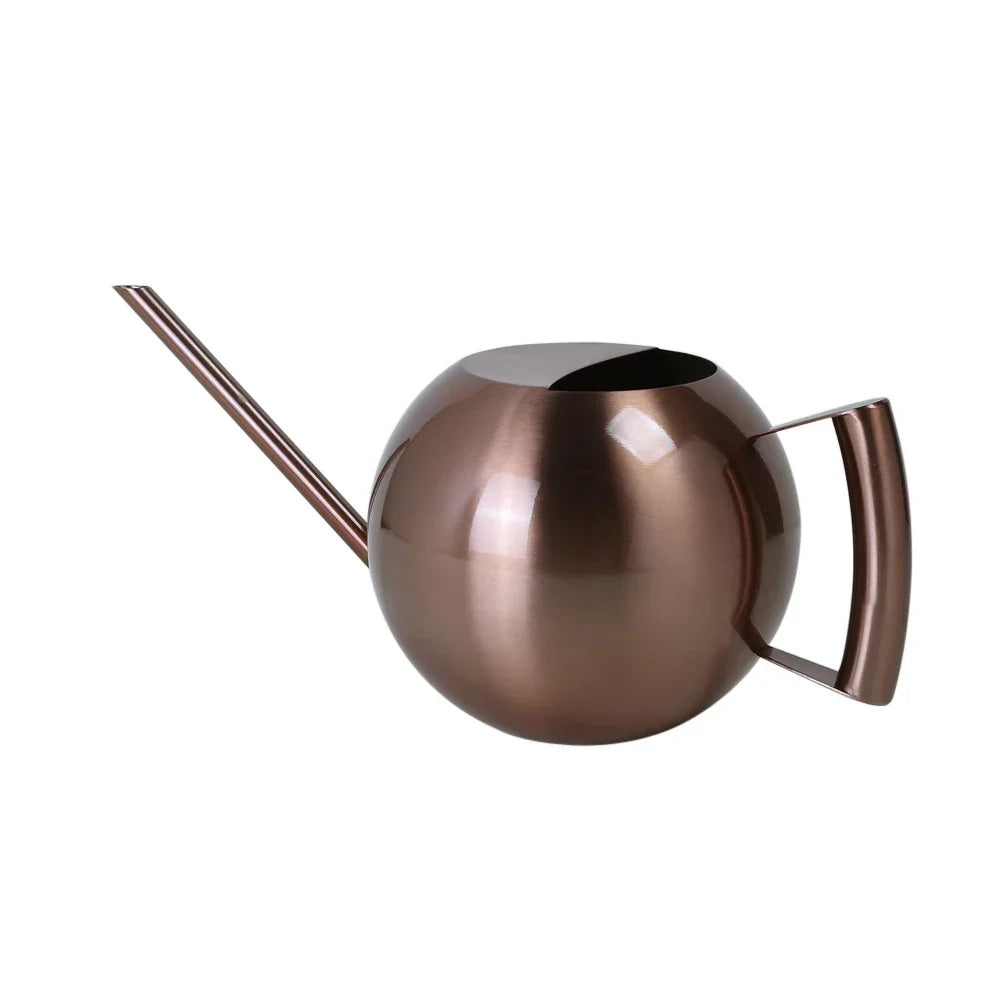 Metal Indoor Plant Watering Pitcher 11 in Diameter Long Spout Rust-Resistant Houseplant Tool Home Garden Container for Succulents Flowers | Thomler
